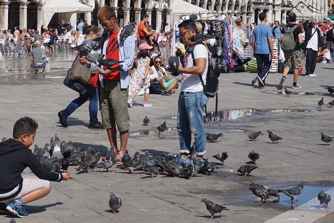Venezia : Ces 10 choses que vous détesterez
