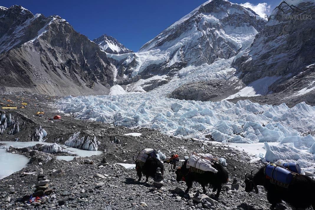 Népal : Nos expériences de trekking au camp de base de l'Everest