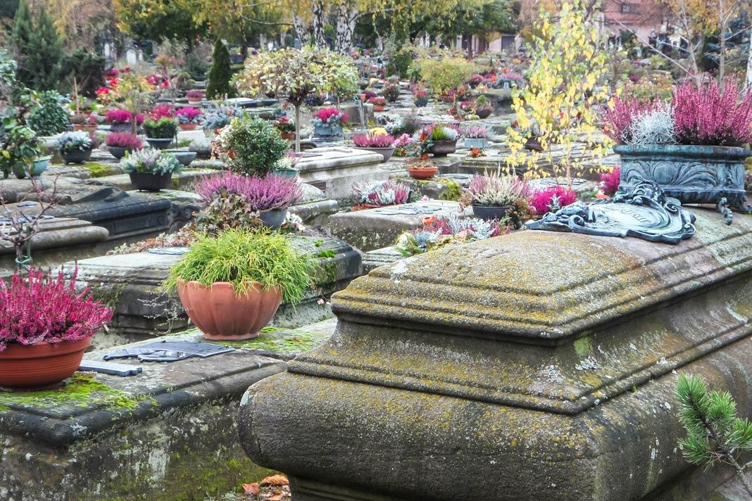 Meia Histórica de Nuremberg: Passeio pela Cidade com 15 Etapas