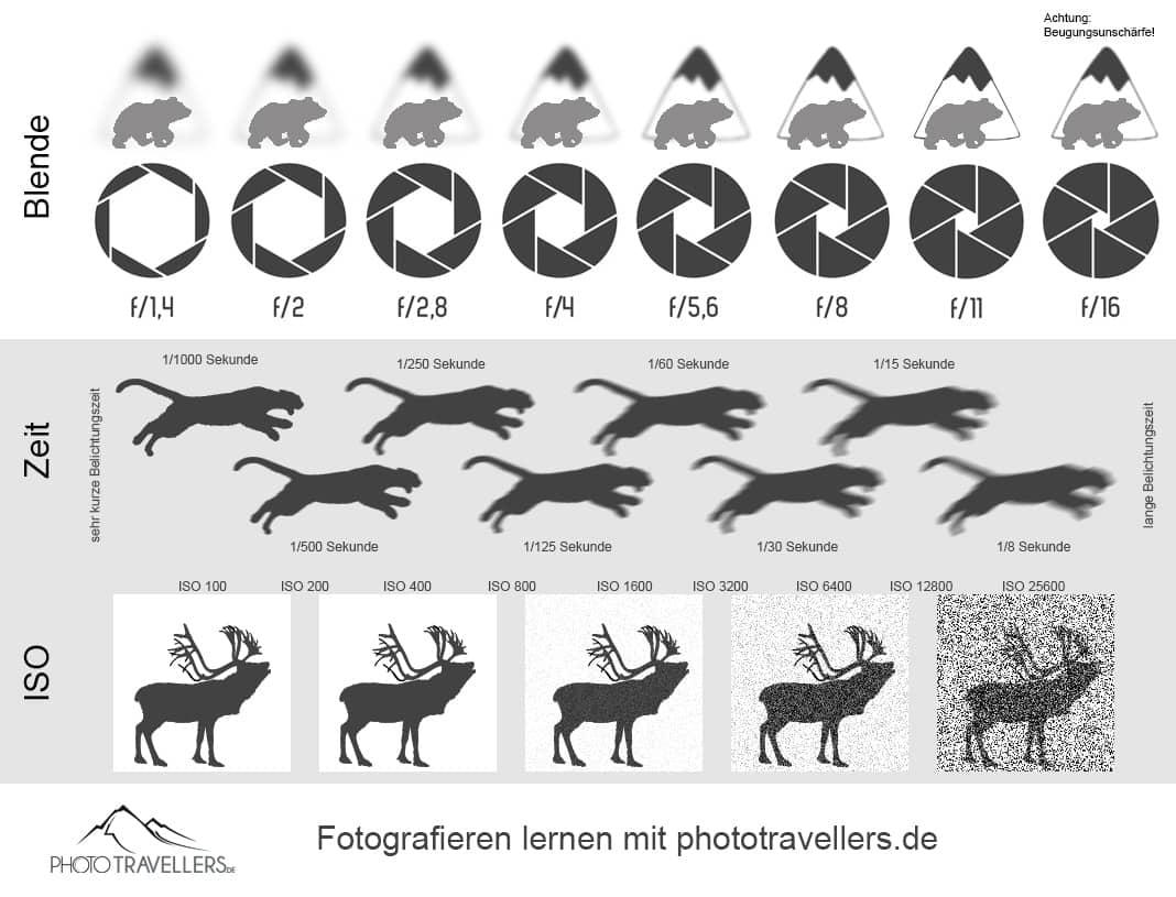 Télécharger gratuitement la fiche de référence pour photographes (PDF)