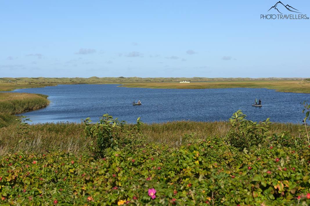 Attractions à Ringkobing-Skjern : Mes 10 meilleures suggestions