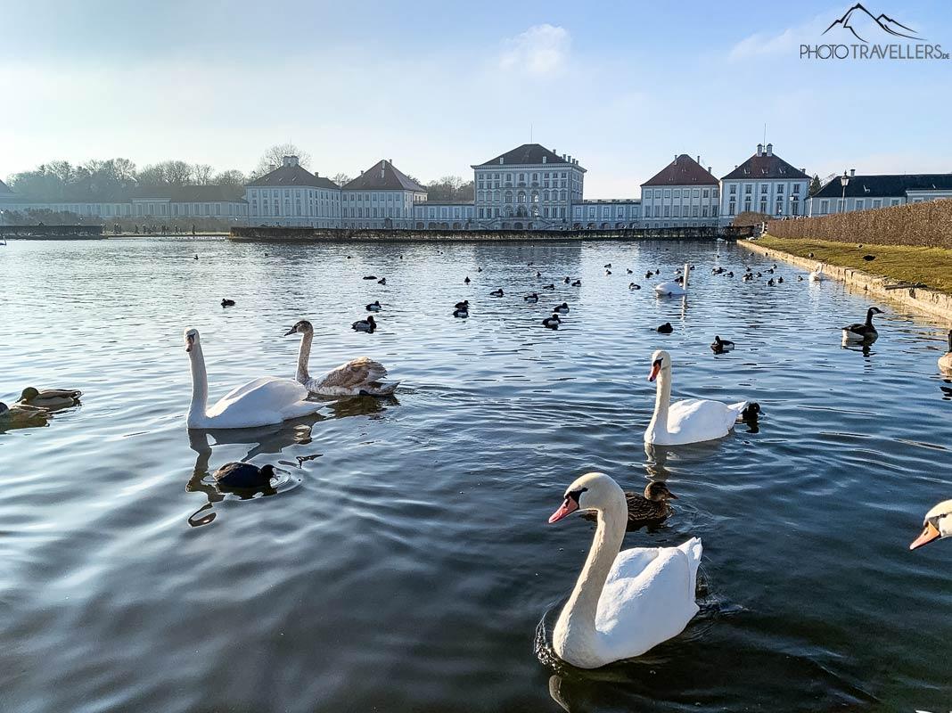 Paris : Voici les 6 plus beaux parcs de la ville