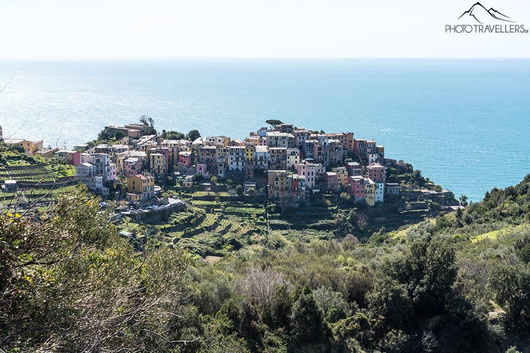 Randonnée sur le Sentiero Azzurro [Cinque Terre]
