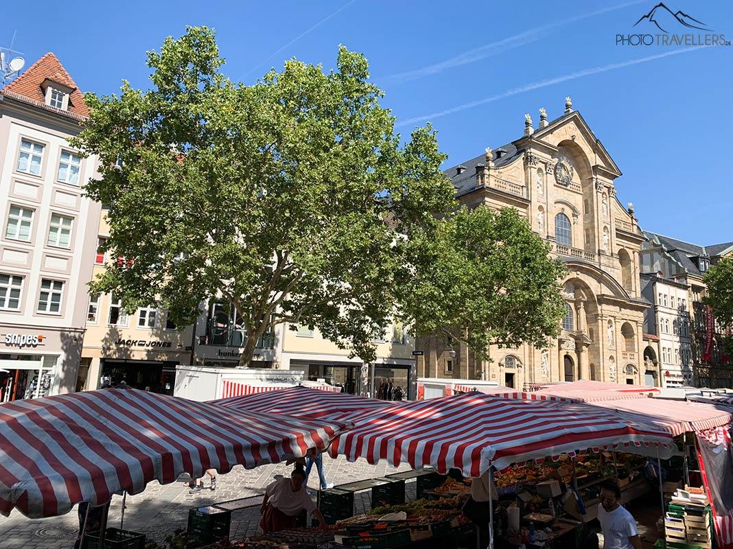 Les stands de marché entre les arbres sur le Marché vert à Bamberg.