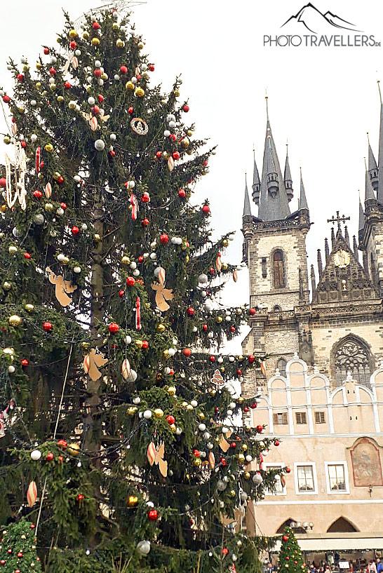 Praga en Navidad - árbol de Navidad