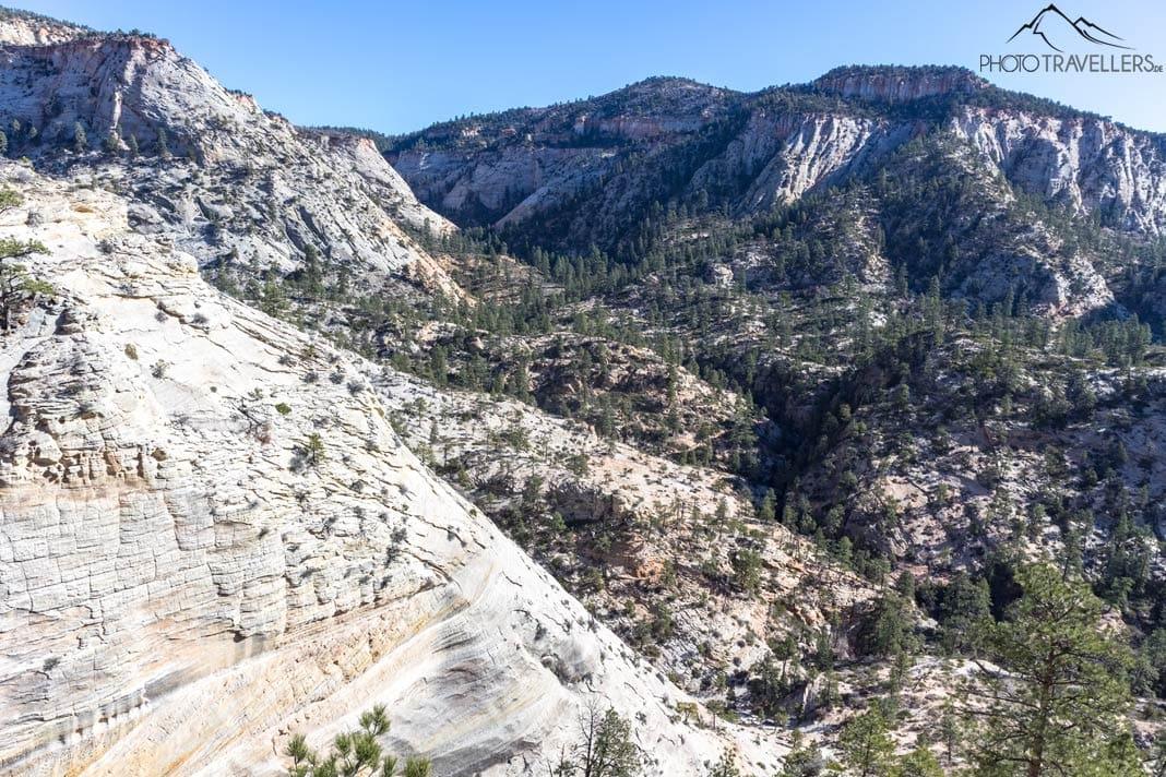 Vue sur les montagnes dans le parc national de Zion