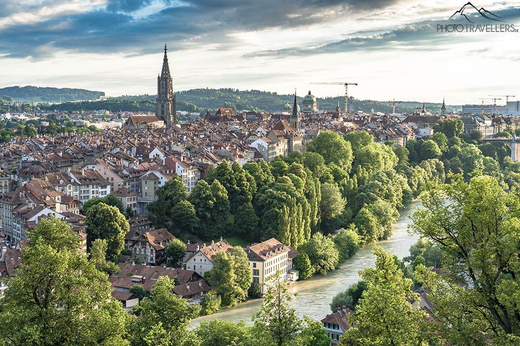 Vue depuis le jardin des roses sur la ville