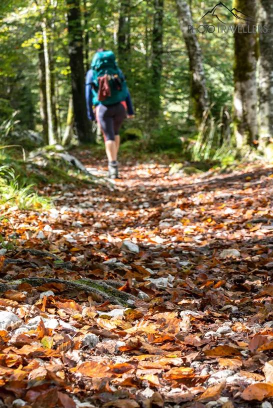 A blogueira de viagem Biggi Bauer caminha na floresta pelo Soča Trail