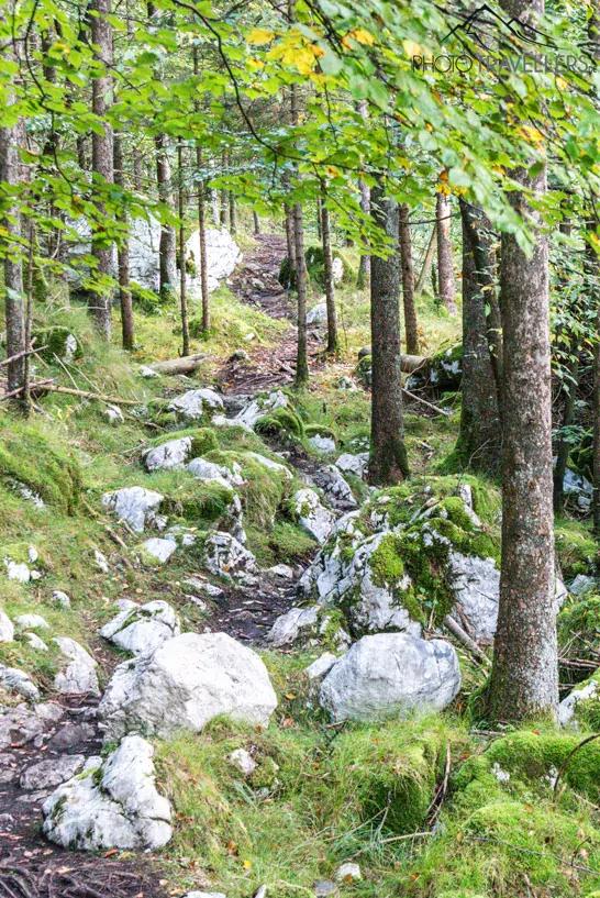 O Alpe Adria Trail