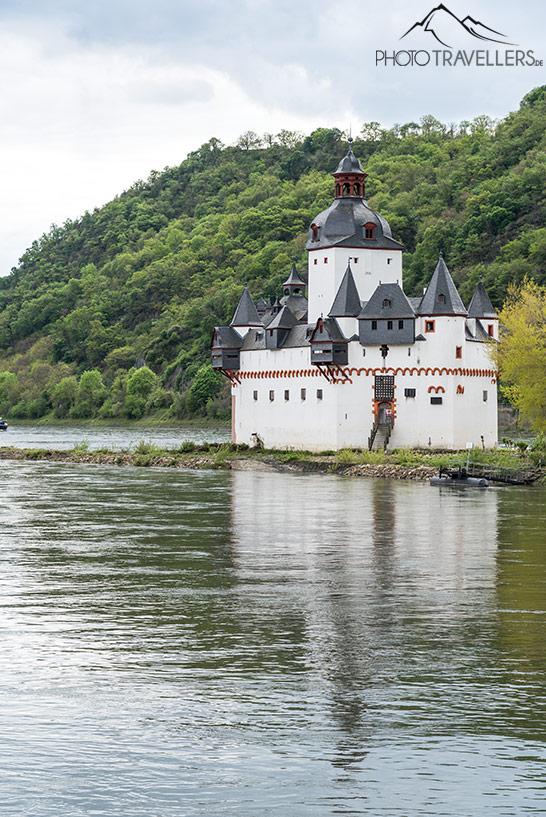 La forteresse Pfalzgrafenstein