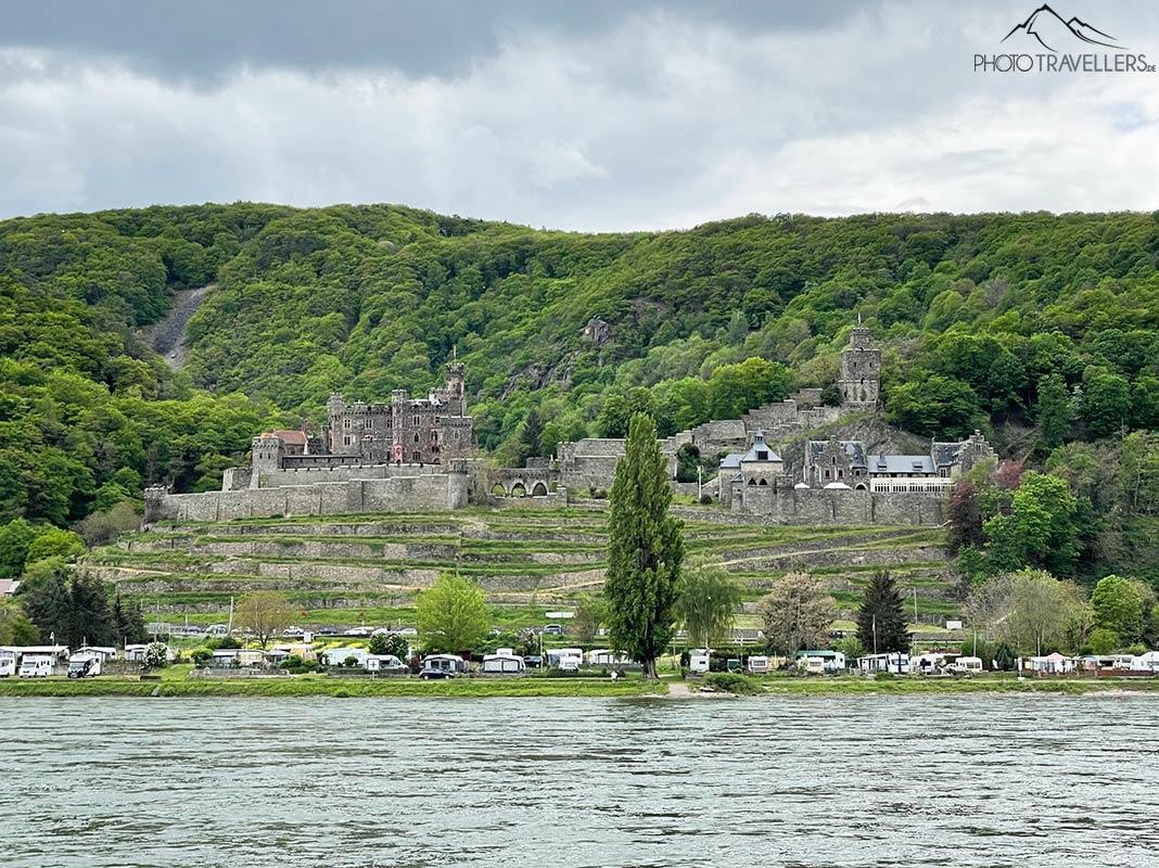 Le Rhin avec le château de Reichenstein