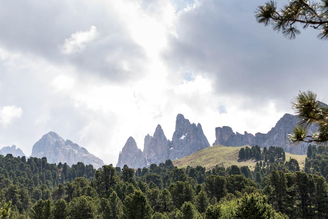 Vista de las Torres de Geisler