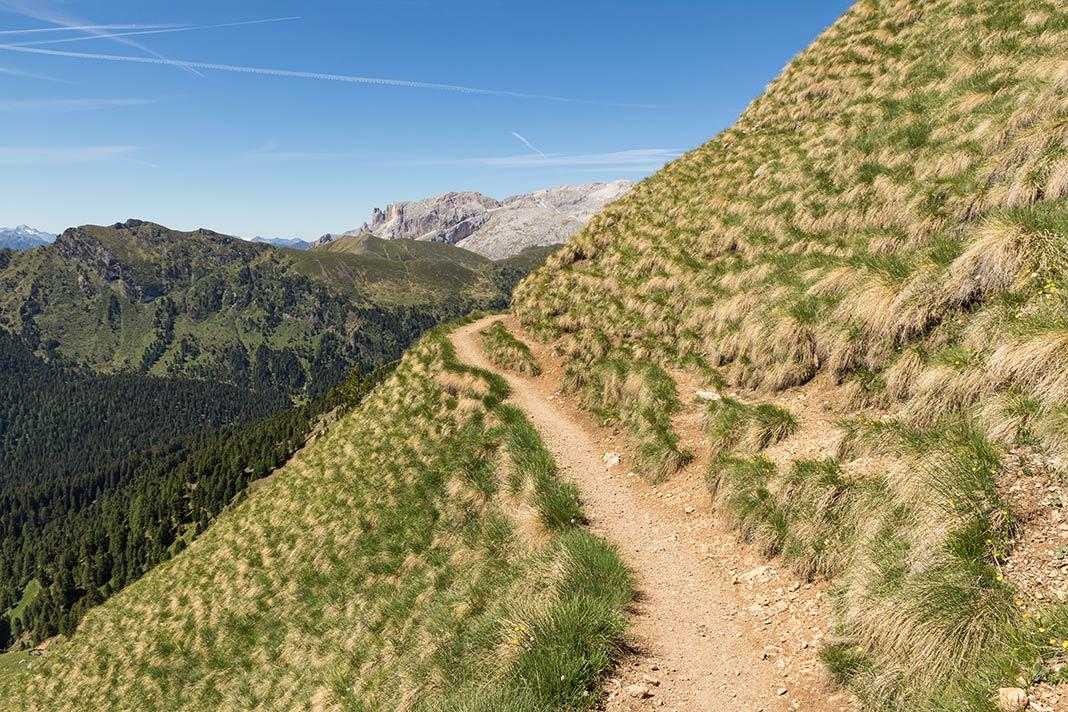 Sendero estrecho