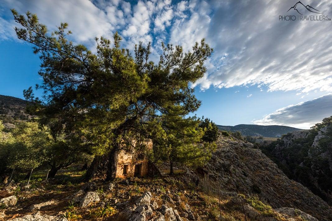 Uma ruína em Aradena, Creta