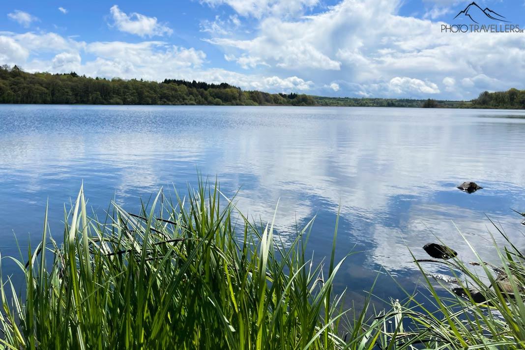 Vue depuis le rivage sur le Dreifelder Weiher dans le Westerwald