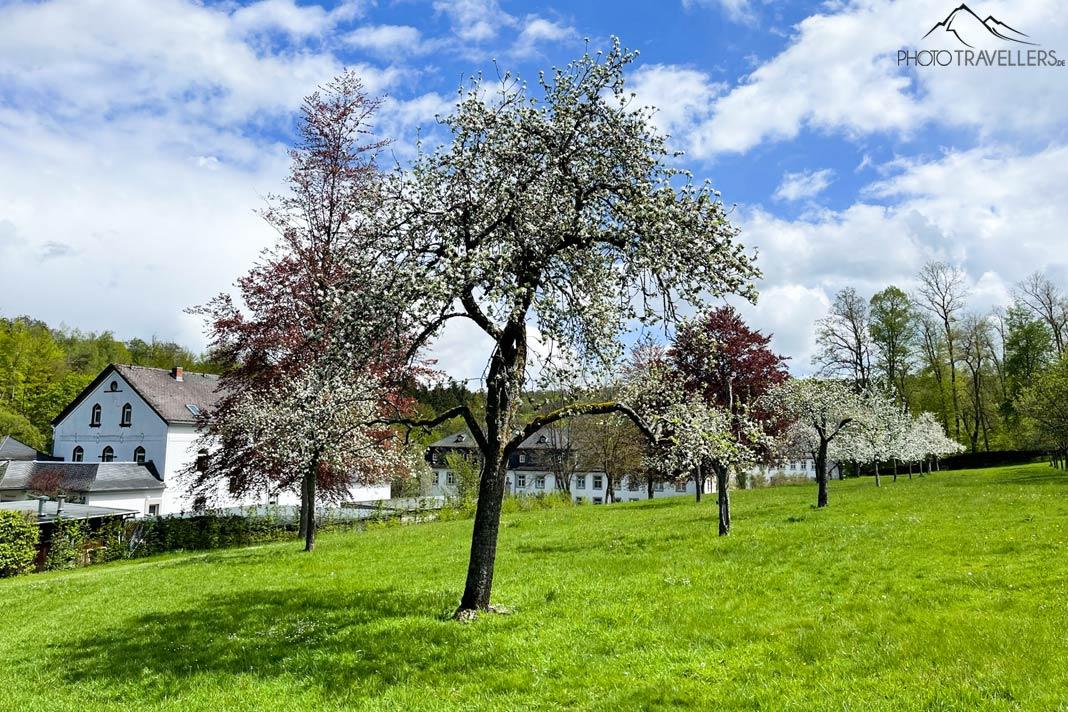 L'abbaye de Marienstatt dans le Westerwald