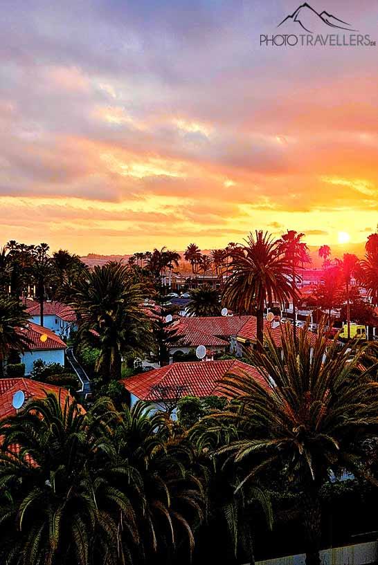Atardecer sobre un complejo de bungalows con palmeras en Maspalomas