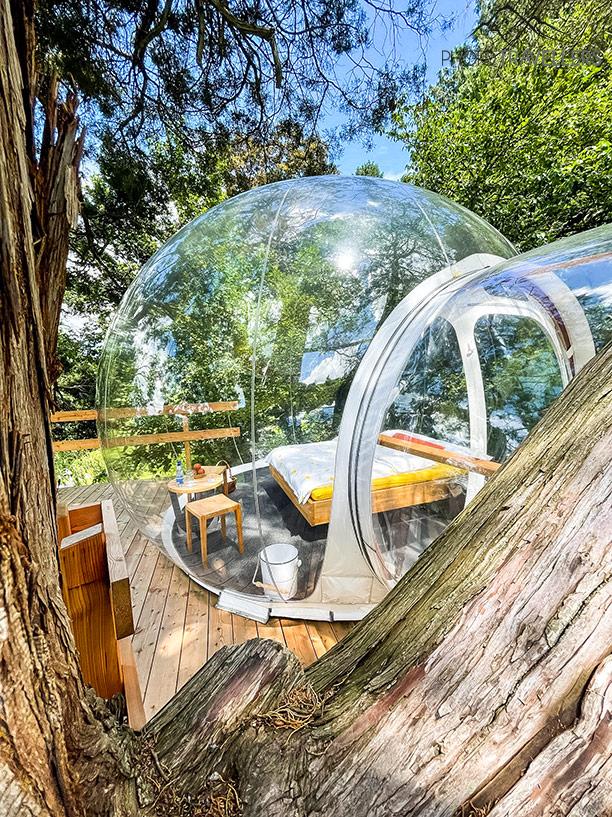 Cubes de sommeil avec vue sur les vignobles