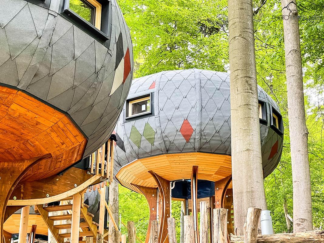 Le Sonnenresort Ettershausen offre des possibilités d'hébergement extraordinaires