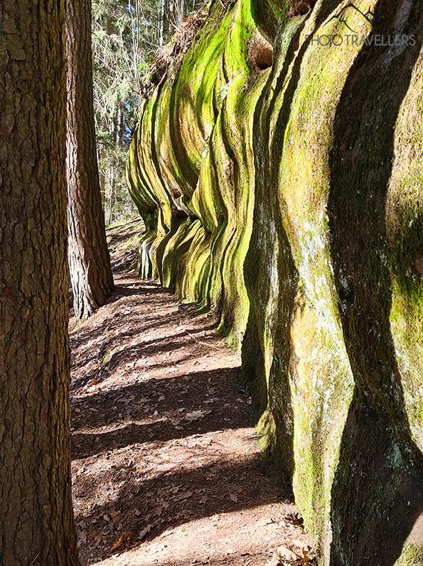 De puissantes falaises bordent le chemin forestier par lequel tu marches à travers la gorge