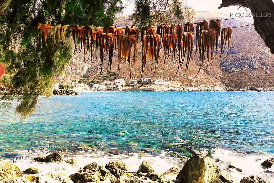 Muitos polvos estão pendurados em uma corda à beira-mar