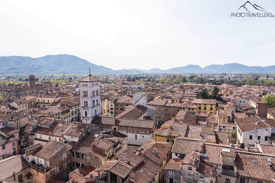 La vista desde el Torre Delle Ore sobre Lucca por la tarde