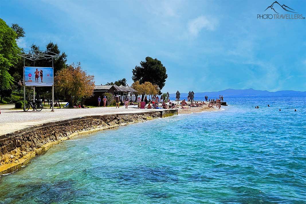 Des gens se prélassent sur la plage de Kolovare bordée de pins