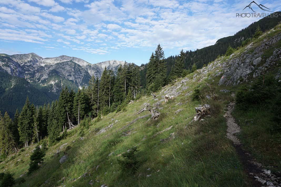 Une clairière avec vue sur les sommets environnants