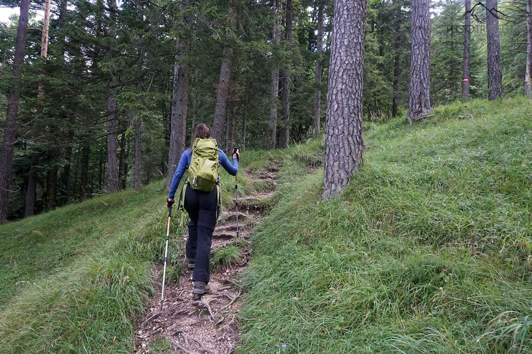 Blogueuse voyage Biggi Bauer sur un sentier en forêt menant au Guffert