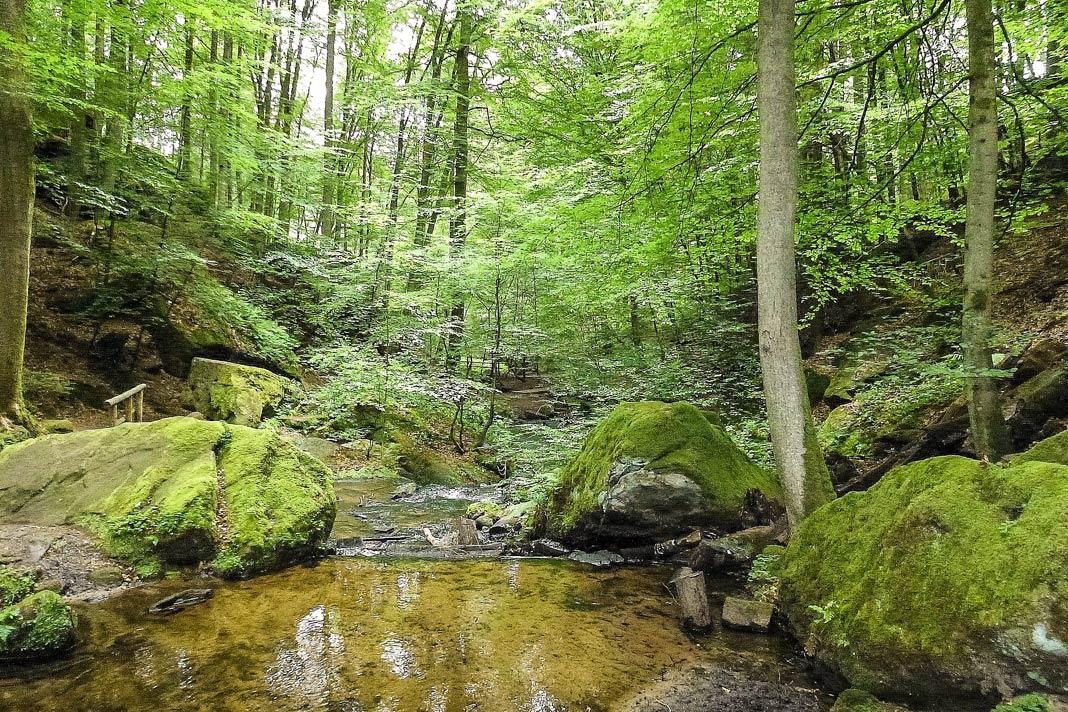 La garganta de Karlstal en el Bosque de Palatinado proporciona agua fresca