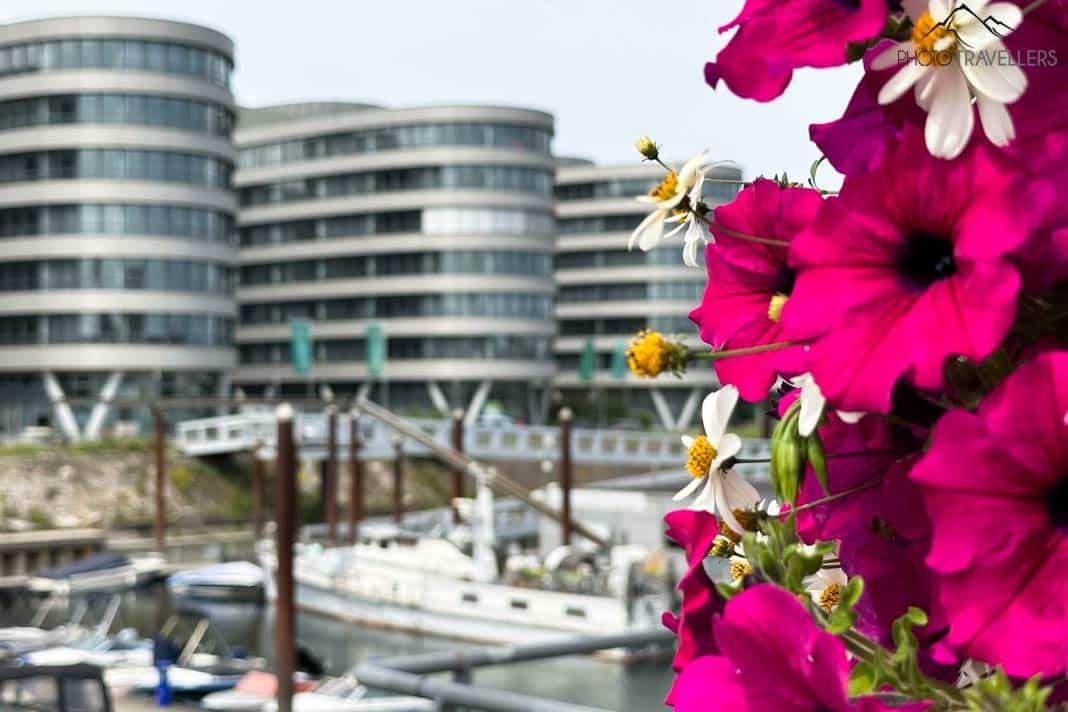 Flores diante de edifícios no Innenhafen de Duisburg