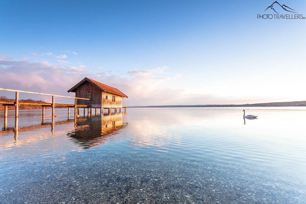 Un embarcadero con un cisne en el Ammersee por la tarde
