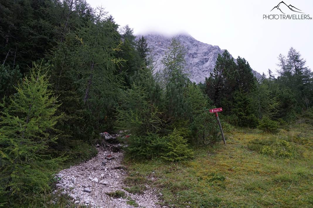 Un petit sentier menant sous le massif du Zugspitze dans la forêt