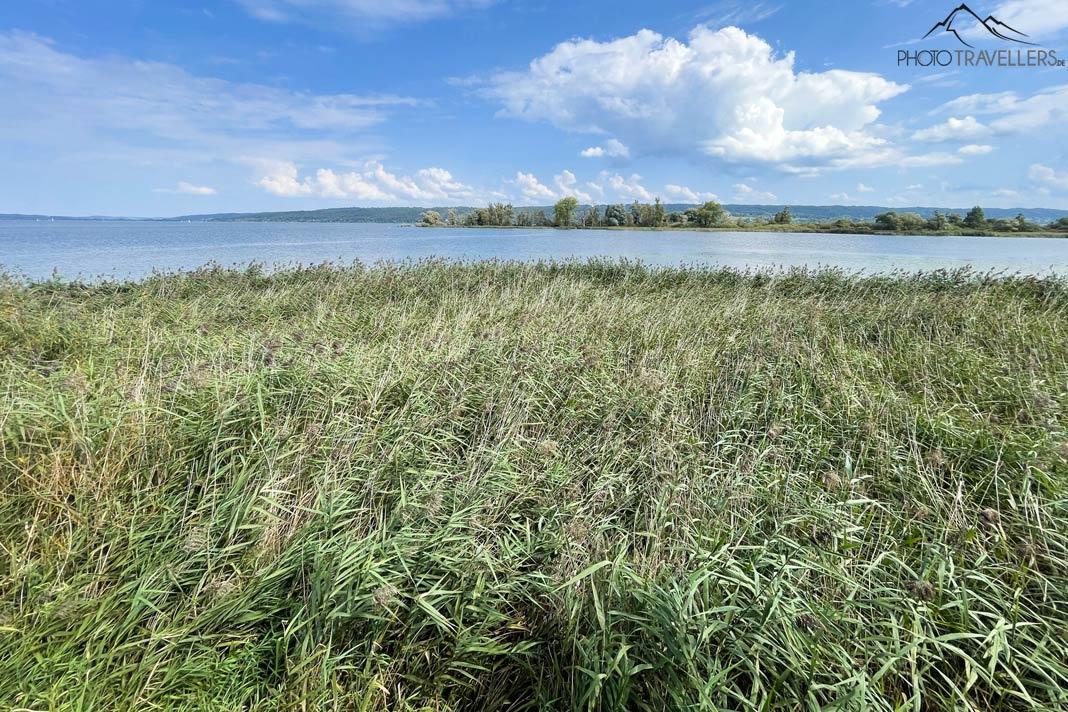 A paisagem na área de proteção de aves na margem sul do Lago Ammersee