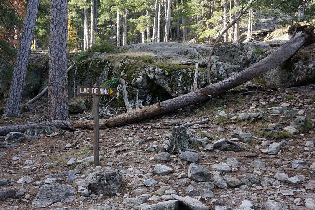 Un panneau indicateur dans la forêt vers le Lac de Nino
