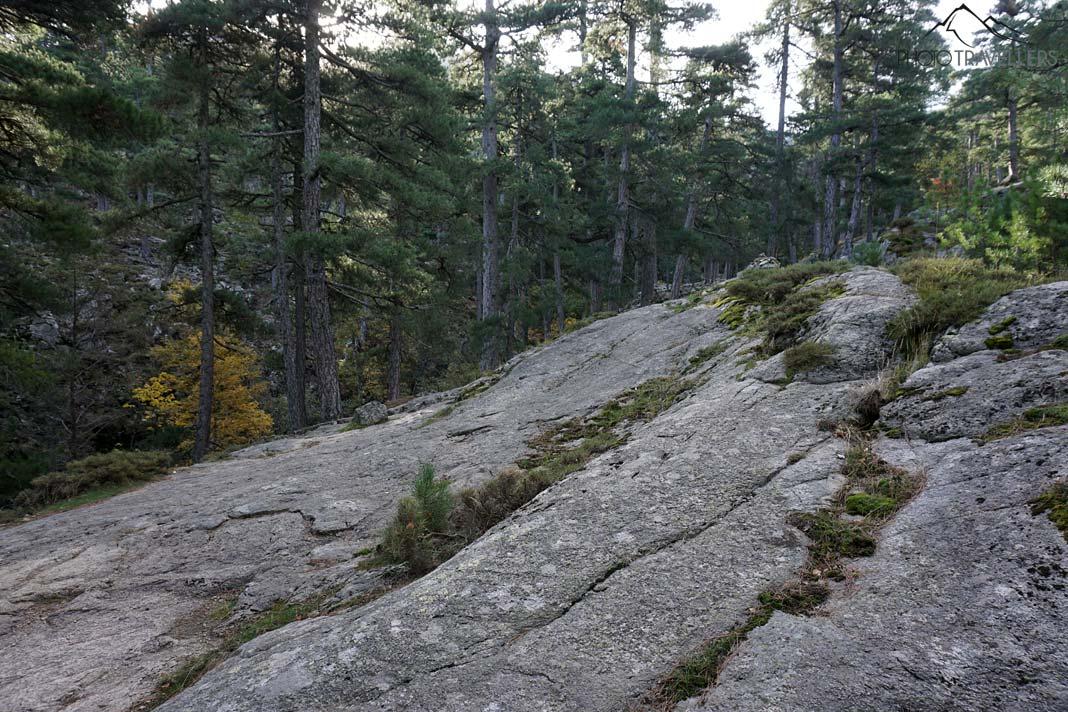 Une grande dalle de pierre que l'on traverse lors de la randonnée vers le Lac de Nino