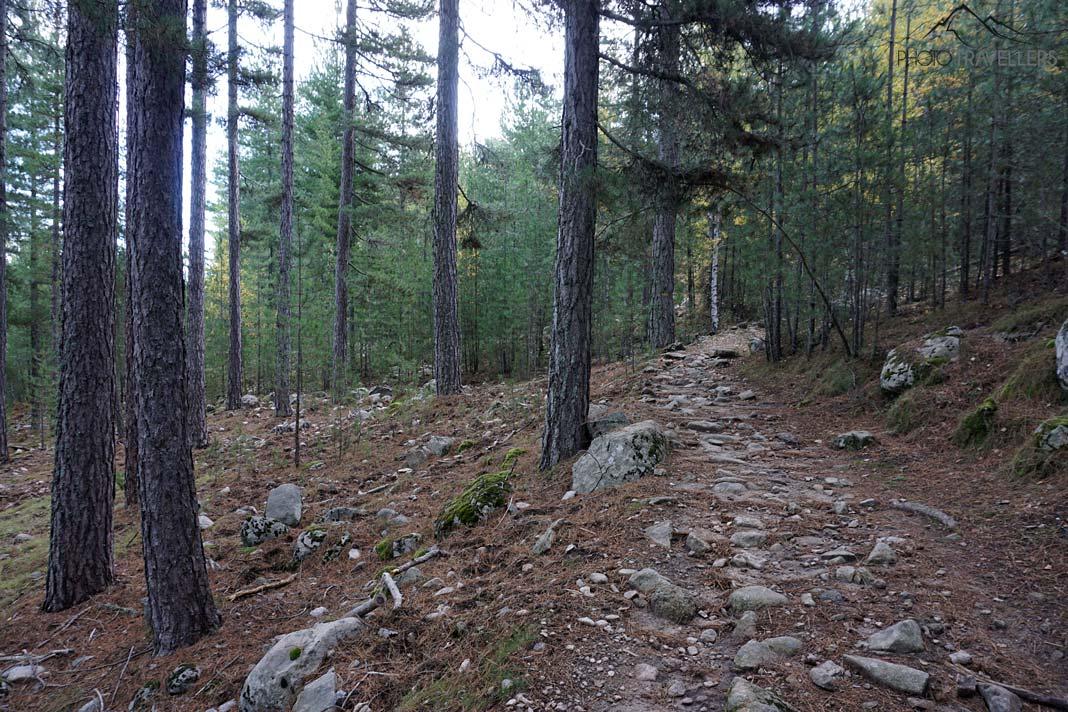 Le sentier de randonnée à travers la forêt menant au Lac de Nino