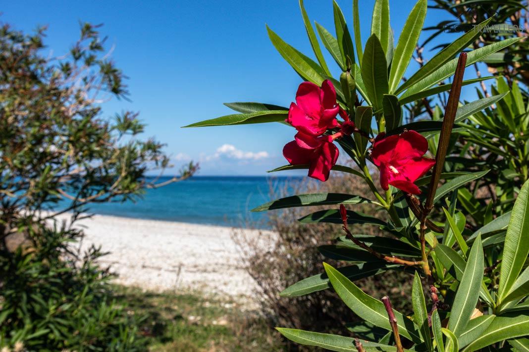 La Playa Poros en el sur de Cefalonia