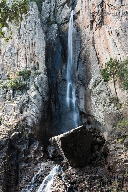 Piscia di Gallo