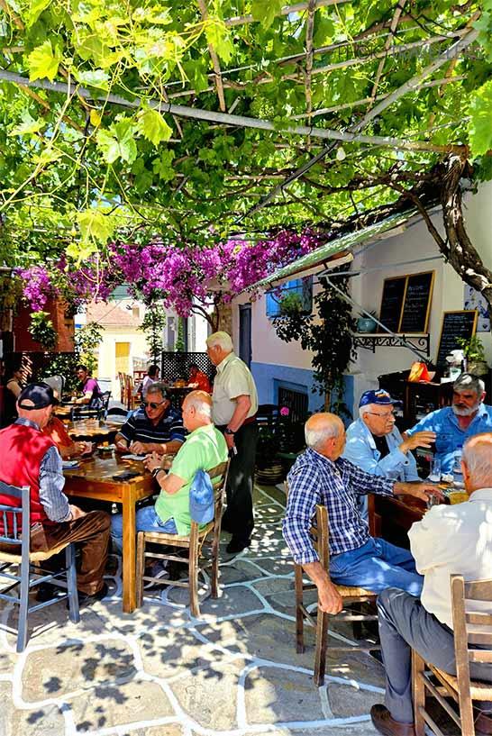 Vários senhores idosos sentados às mesas de uma taverna sob uma vinha