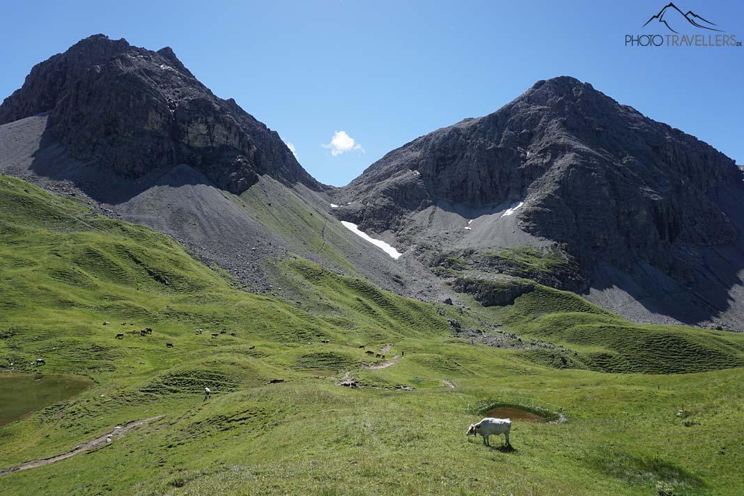 Vue sur le Rappenseekopf