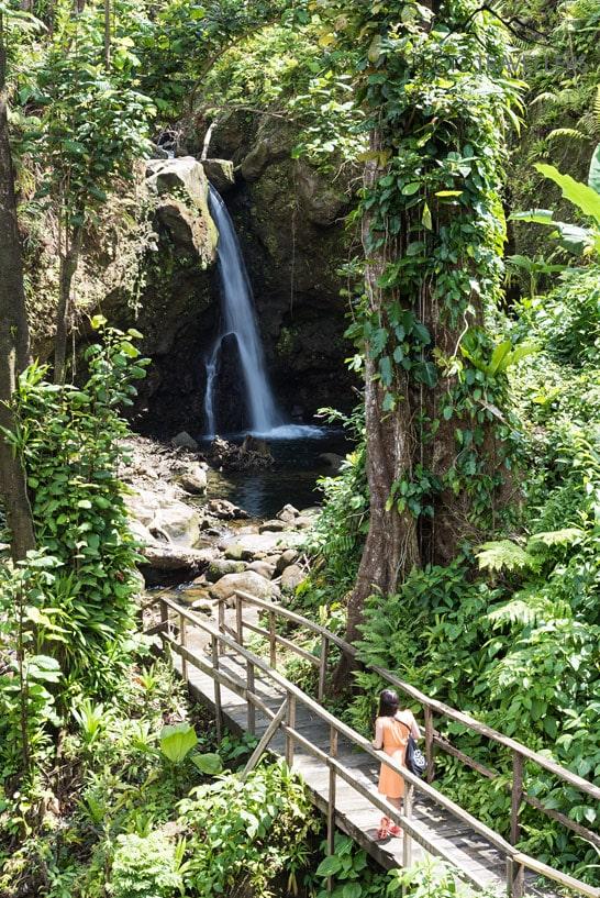 Bloguera de viajes Biggi Bauer en un vestido en la plataforma frente a las Sultan Falls en Dominica