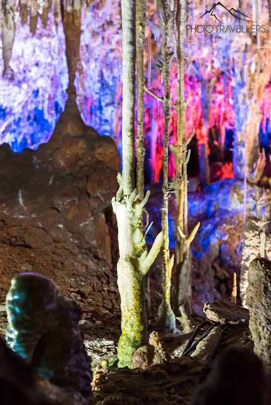 Un stalactite dans la grotte Coves dels Hams qui pousse vers le haut