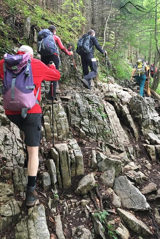 Plusieurs participants de la formation de guide de randonnée qui escaladent de grandes pierres en forêt