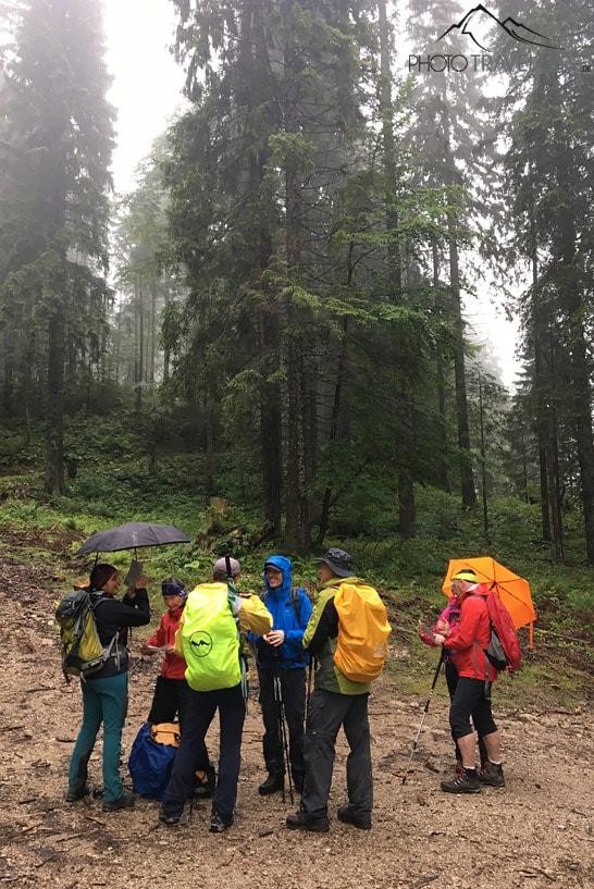 Plusieurs participants de la formation de guide de randonnée se tiennent en cercle sous la pluie dans la forêt de montagnes