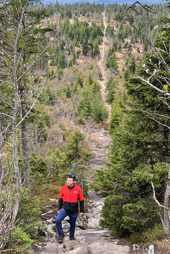 Le blogueur de voyage Florian Westermann sur une marche des célèbres échelles du ciel dans la Forêt Bavaroise avec une vue sur le paysage
