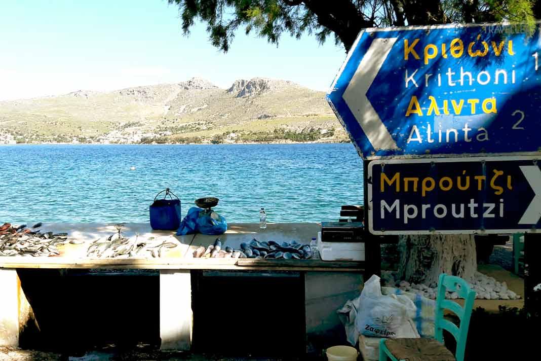 Des panneaux de circulation bleus indiquent le chemin à la plage de Leros