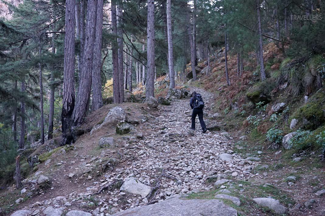 Blogueuse voyage Biggi Bauer empruntant un sentier à travers la forêt