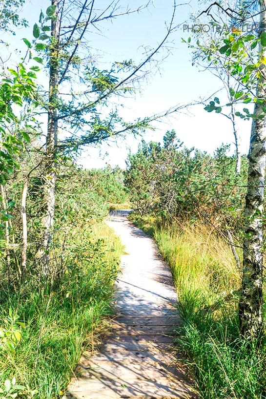 Uma trilha de caminhada na turfeira Kendelmühlfilzen no Chiemsee