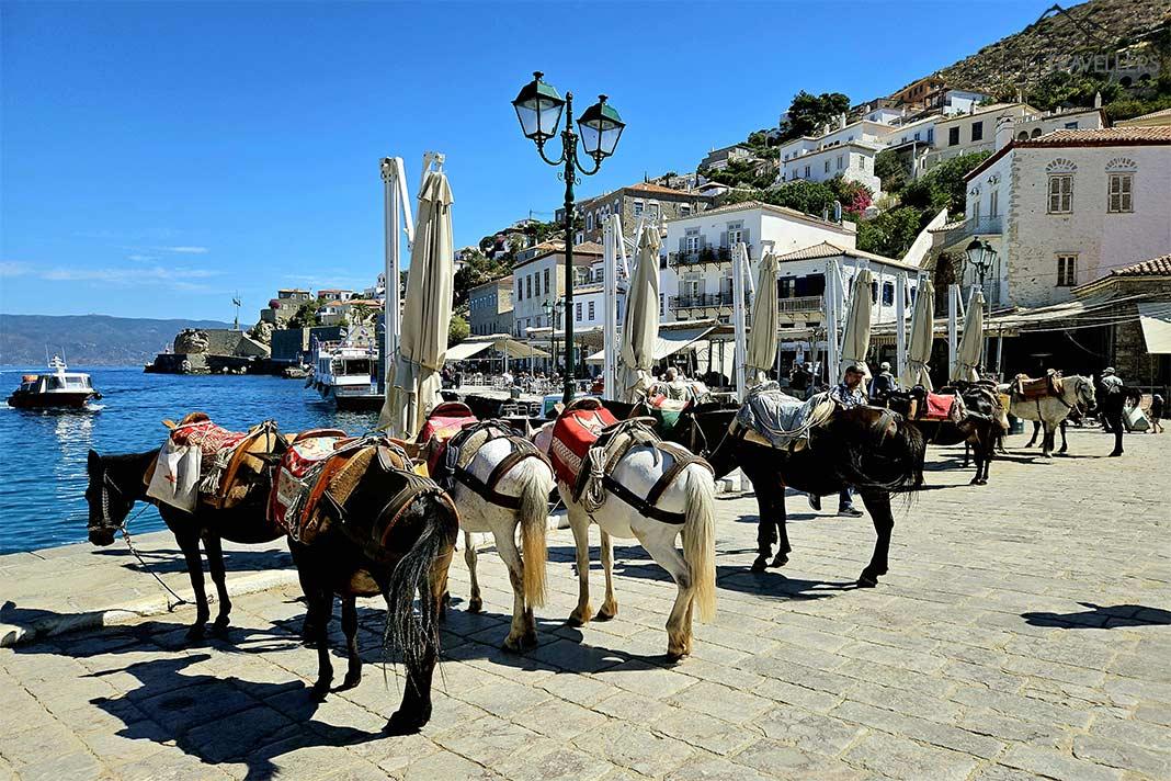 Plusieurs mules attendent au port d'Hydra pour leur prochaine tournée